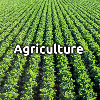 Agriculture thumbnail