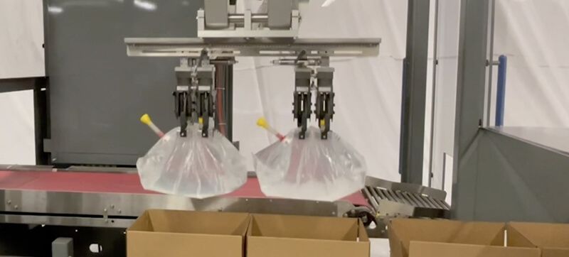 Robot Packing Liquid-filled Bags