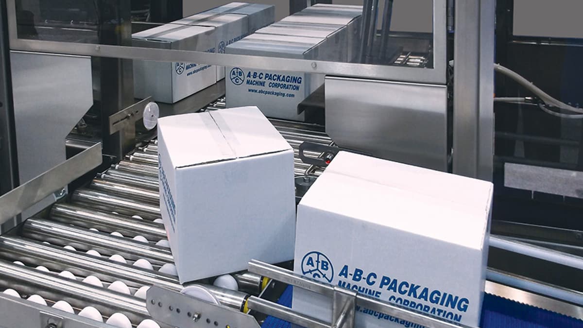 Low-level Palletizers