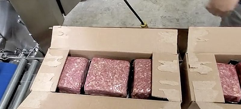 Erector & Case Sealer