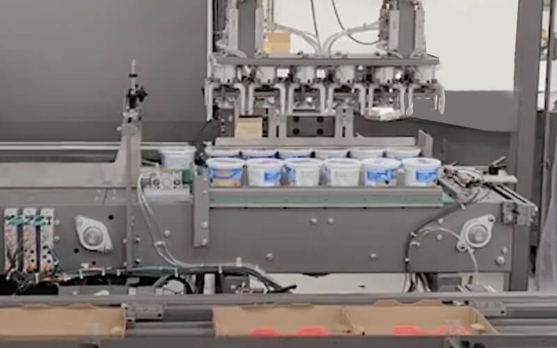 Empacadoras de cajas